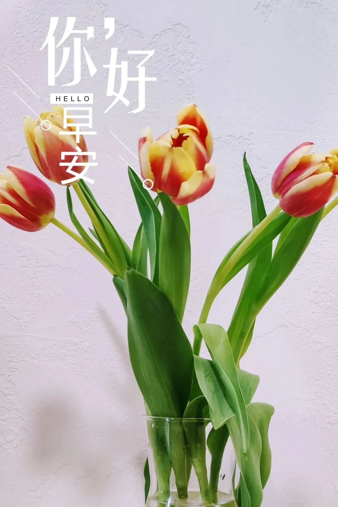 励志人生感悟_工作心态阳光正能量句子_人生哲理