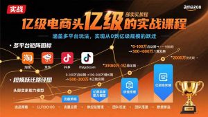 亿级电商头部卖家的实战课程：涵盖多平台玩法，实现从0到亿级规模的跃迁
