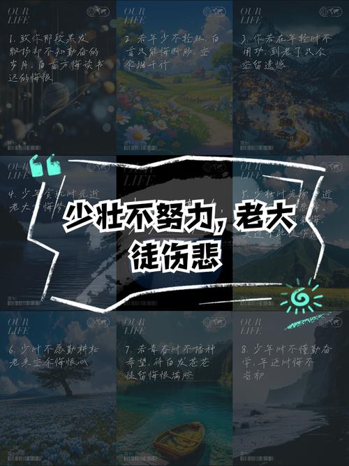 少壮不努力老大徒伤悲管理学启示_人生规划管理学_少小不努力老大徒伤悲