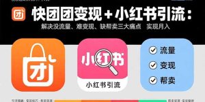 快团团变现+小红书引流：解决没流量、难变现、缺帮卖三大痛点 实现月入3w+