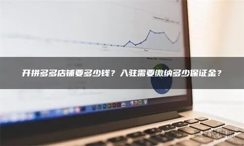 拼多多保证金缴纳方式_拼多多开店费用_入驻拼多多要什么条件