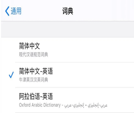 safari浏览器隐藏功能_safari浏览器有些网站打不开_苹果自带翻译词典设置