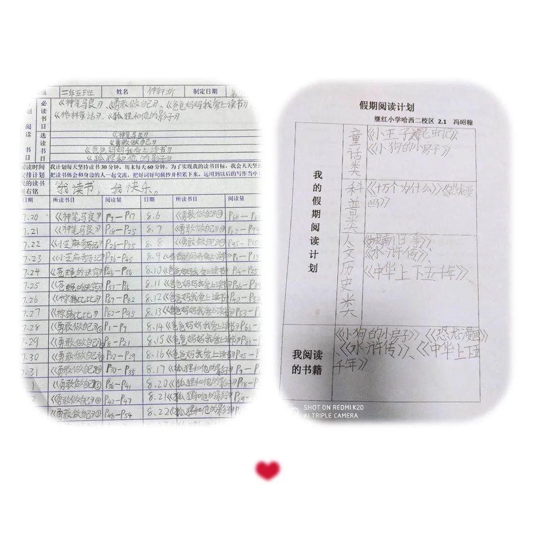 假期阅读计划卡_个人读书计划卡图片_二年级学生阅读习惯培养