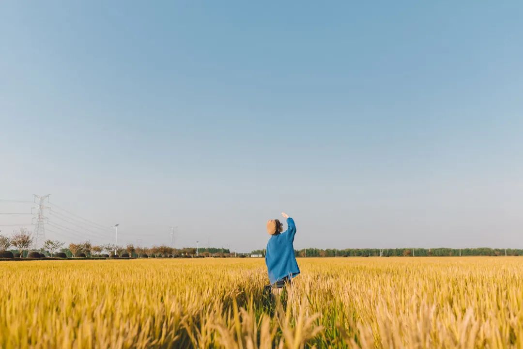 得失心太重,没有了快乐_放下执念_看淡得失