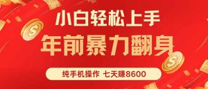 七天狂赚8600，小白纯手机操作，日入1000+