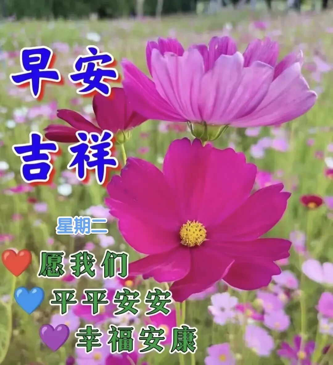 早晨正能量_过好生命的每一天_用心过好每一天