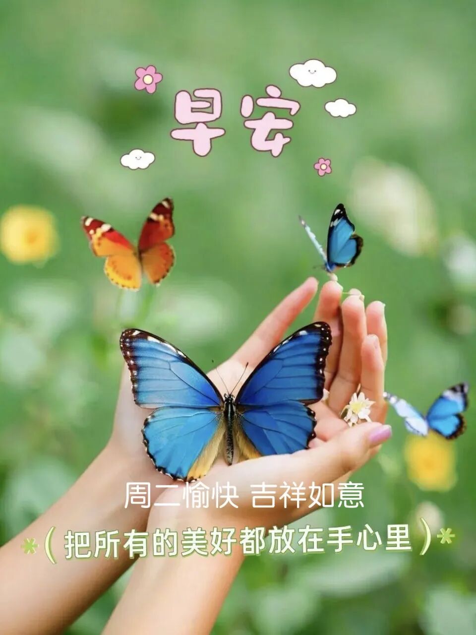 过好生命的每一天_早晨正能量_用心过好每一天