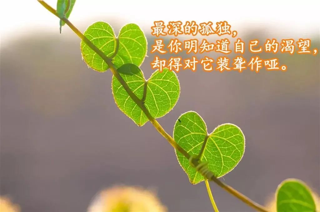 夜深人静时的人生感悟说说_感悟生活_人生哲理