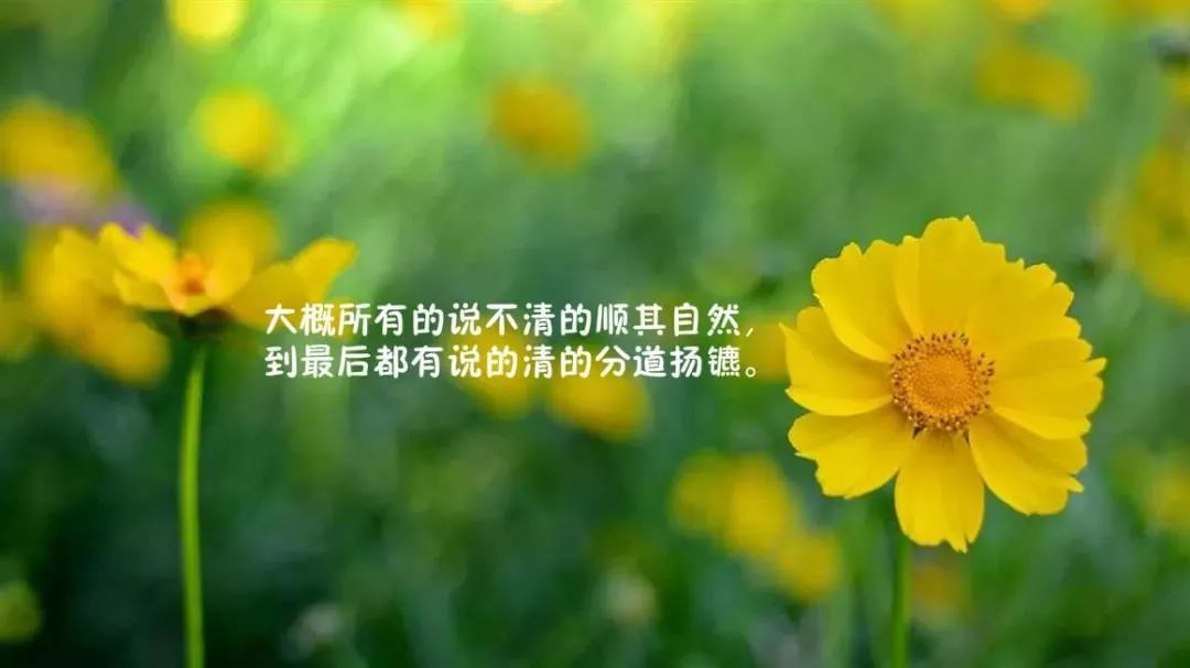 人生哲理_夜深人静时的人生感悟说说_感悟生活