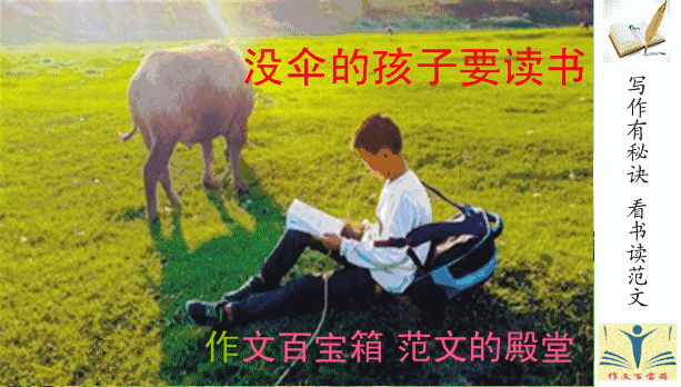 一件让人烦恼的事作文_烦恼的初中生活_一件令我发愁的事