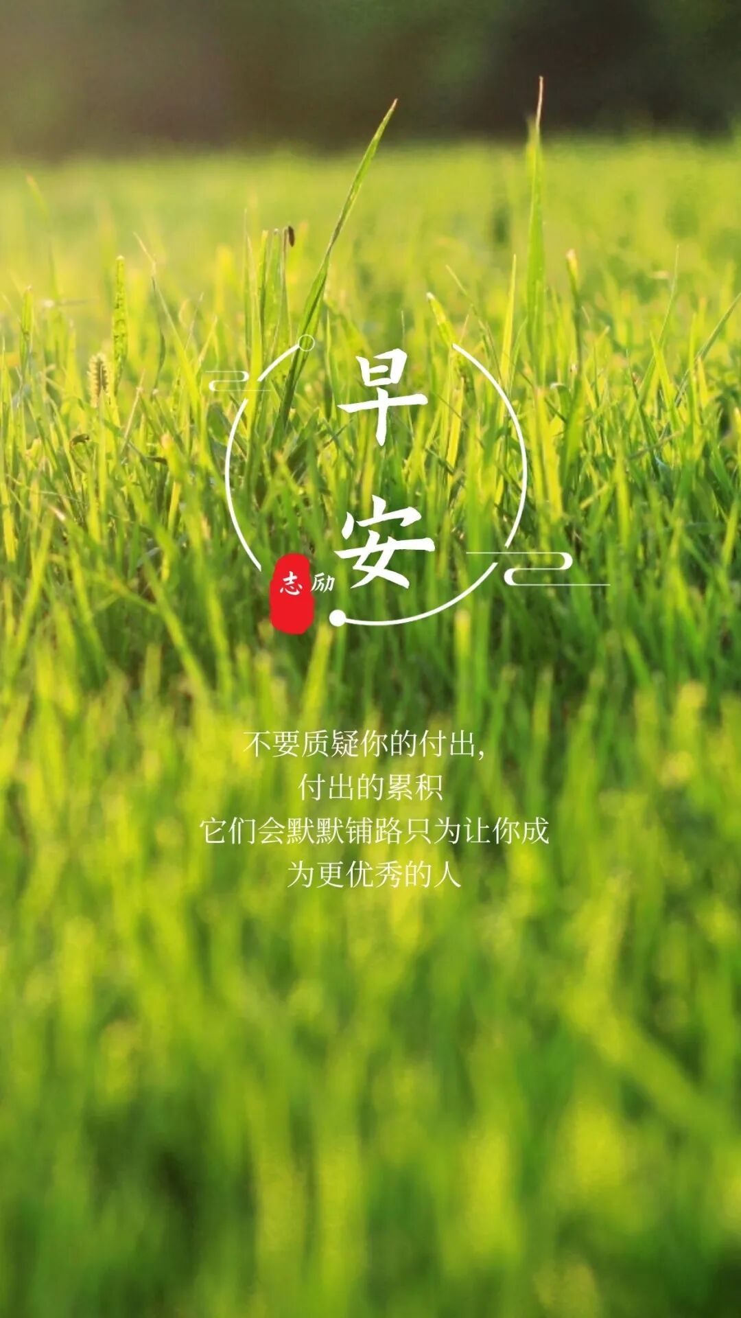 励志短句_人生感悟正能量_做好当下的正能量句子
