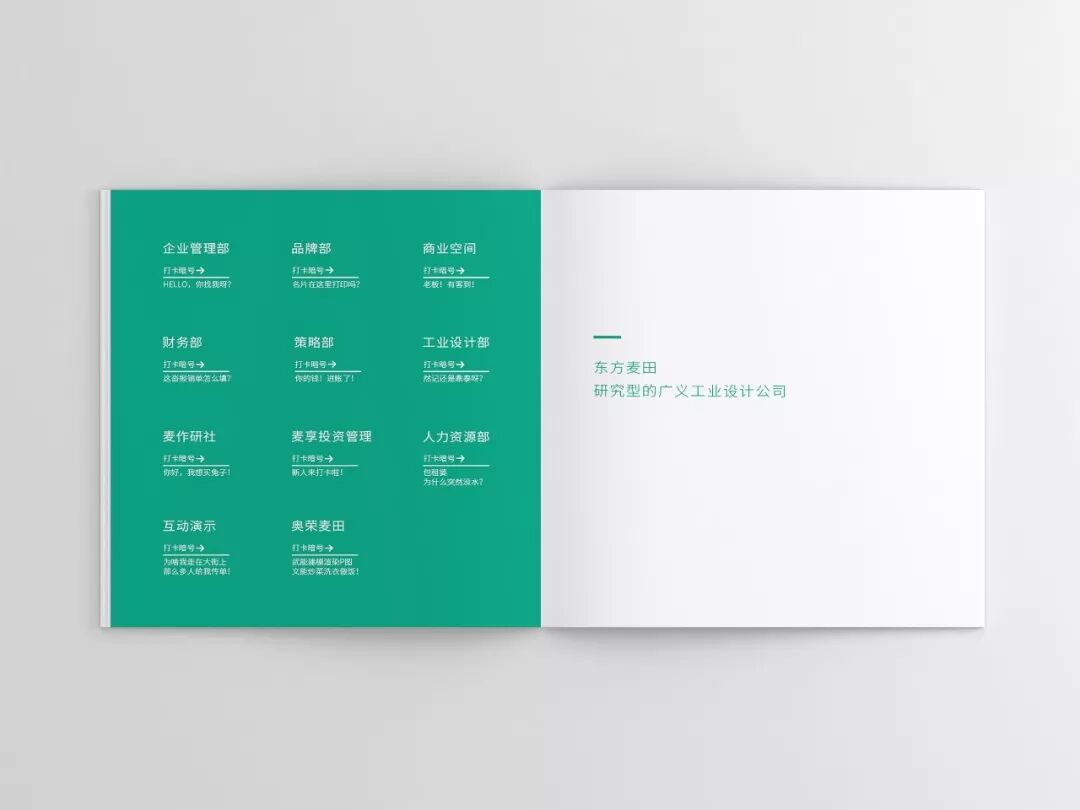 员工手册设计_员工手册没见到过_公司文化价值观