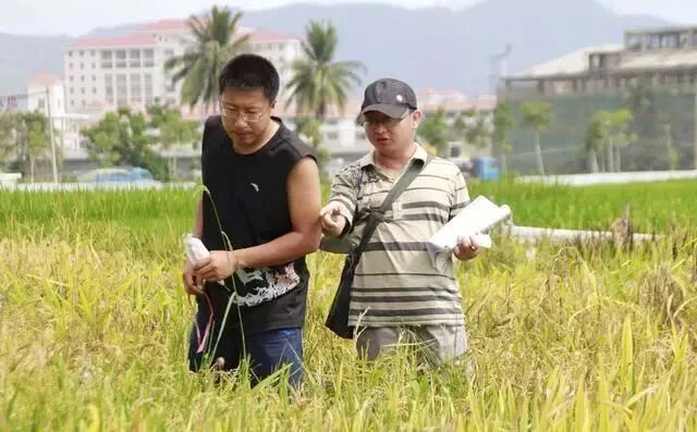 人工智能工程技术人员定义_新职业介绍_学物联网能找什么工作