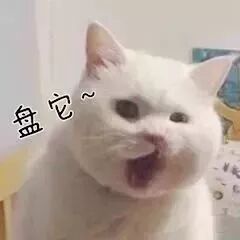 人工智能工程技术人员定义_学物联网能找什么工作_新职业介绍