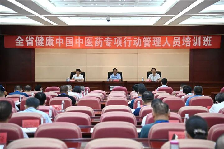 全省健康中国中医药专项行动管理人员培训_贵州中医药传承创新发展_中医药健康指导培训总结