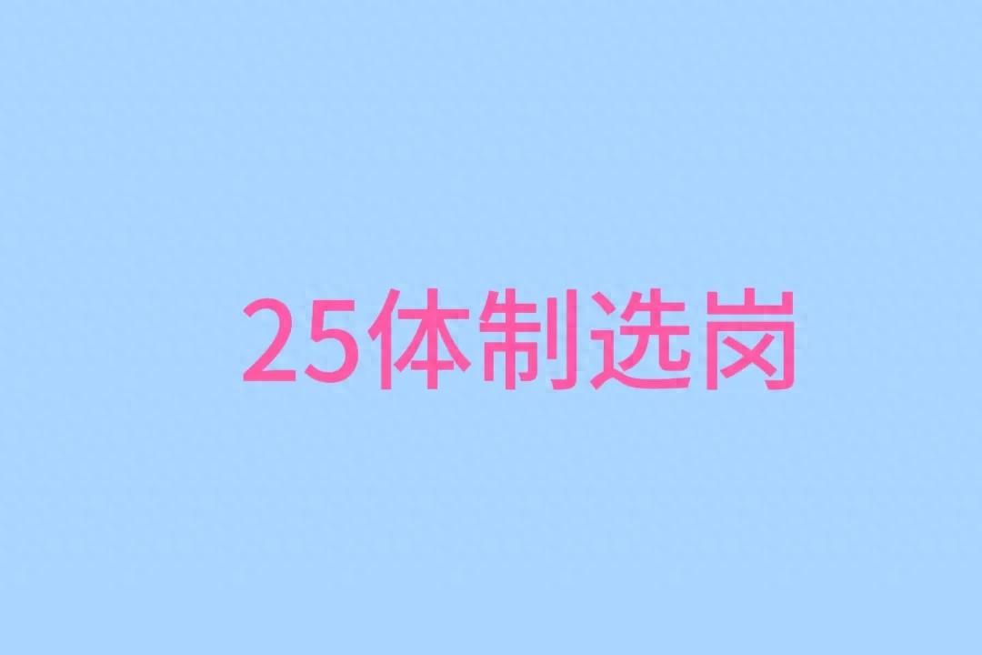 2025年考公最吃香的十大部门_比较好考的体制内工作_选岗技巧
