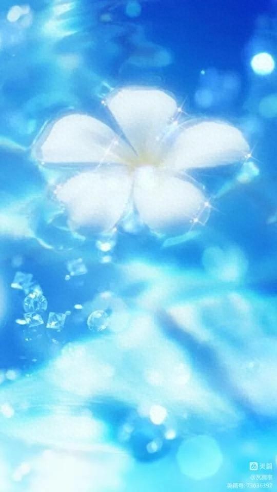 烟花易冷