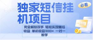 2025全新电脑挂机项目  操作简单,单机当天收益1000+,收益无上限,可…
