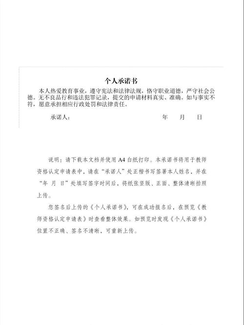 中国教师资格网下载承诺书_个人承诺书可以是照片么_下载个人承诺书