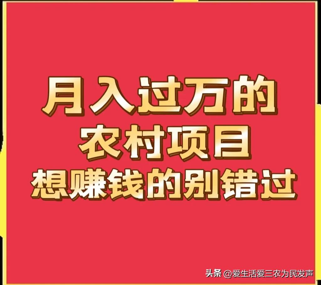 哪里有赚钱的好项目-不怕吃苦、不怕丢人的农村人来做这些项目吧,月收入过万元不难
