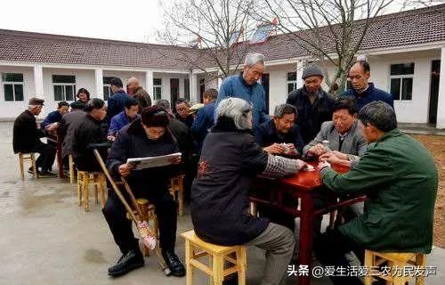 不怕吃苦不怕丢人赚钱的农村项目_哪里有赚钱的好项目_农村废品回收项目利润