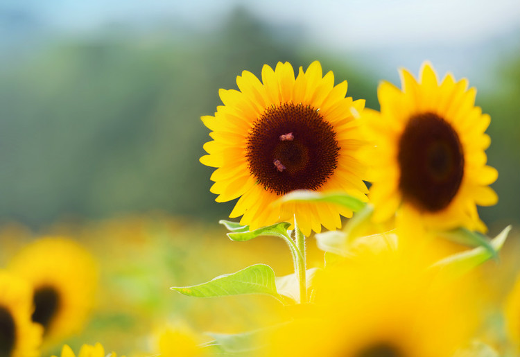 人生低谷如何走出_做一个有坚强信念的人_内心坚韧的力量