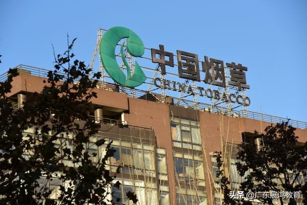 湖南中烟技术工人待遇-电网、烟草年薪工资表，计算单位用“万”