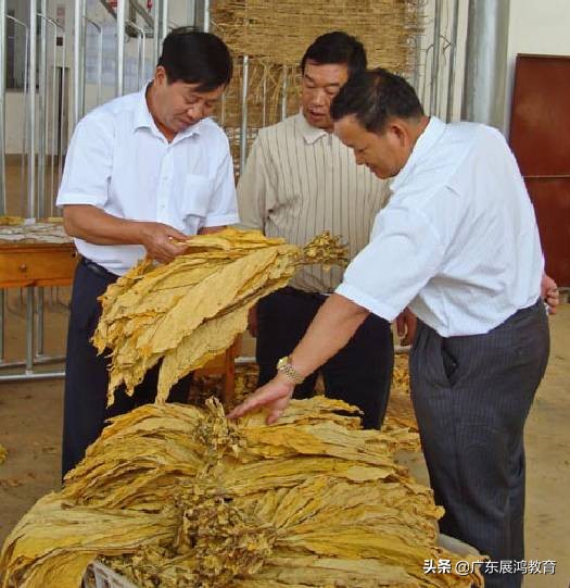 全国烟草企业工资差异_烟草行业职工收入地域差异_湖南中烟技术工人待遇