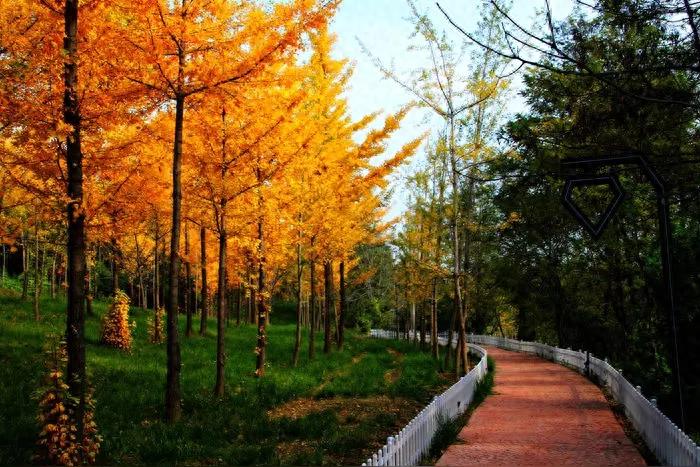 梦见小孩怀孕是什么意思-反复梦见自己怀孕…