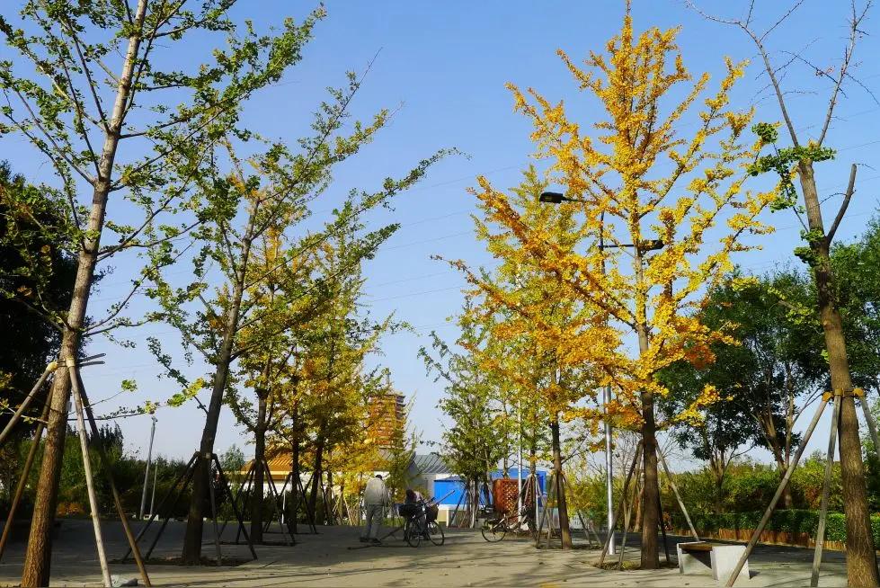 孕梦 潜意识 信息_梦见小孩怀孕是什么意思_梦见怀孕 意义 解读