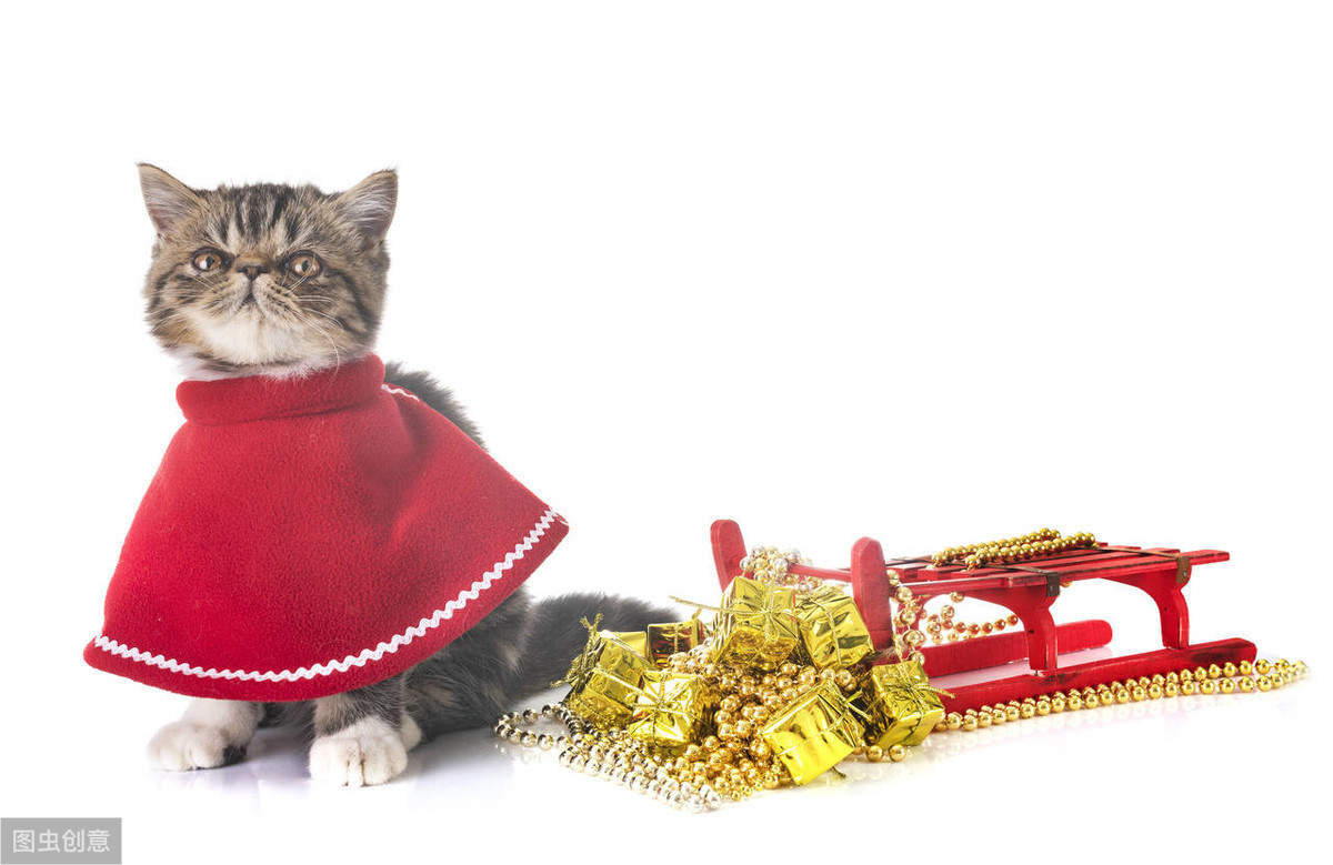 想做小本买卖做什么好_实体创业盈利难_小本生意好做吗