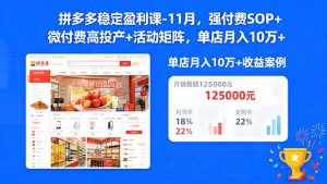 拼多多稳定盈利课-11月,强付费SOP+微付费高投产+活动矩阵,单店月入10万+
