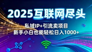 2025网创尽头王炸项目!私域 IP + 精准引流,新手小白在家躺赚日入 1000+
