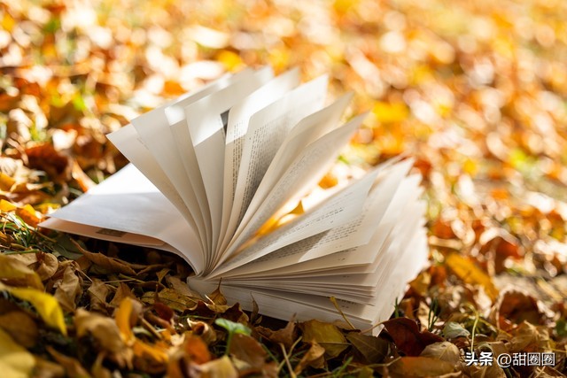 孩子不感恩的例子_父母对自己不一样的爱事例_父母付出心酸