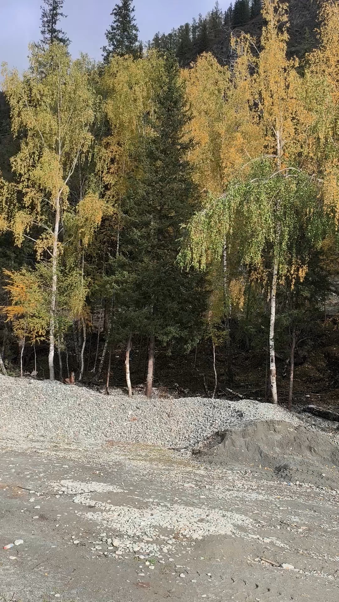 不相信读书能改变命运_读书借力人生_借阅经历提升心智