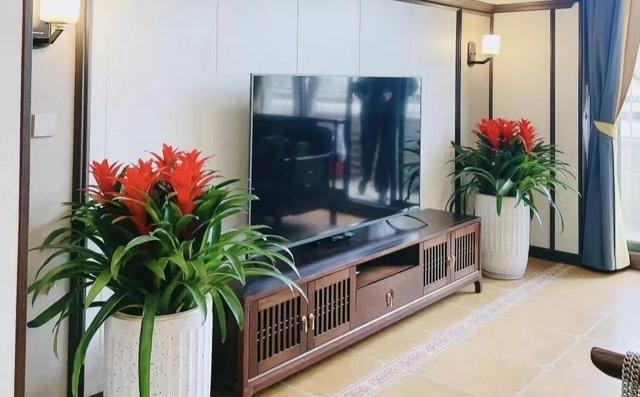 家庭养花不可不知的小常识_养花技巧_花店套路