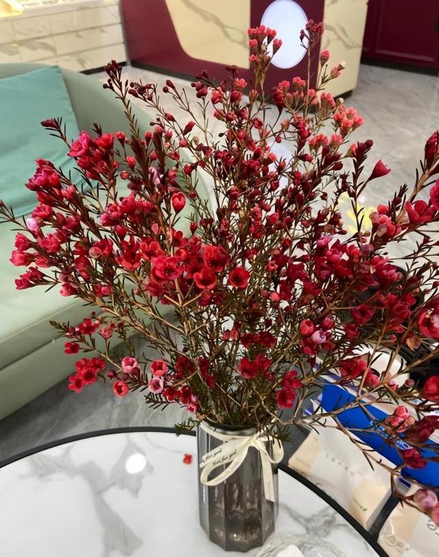 养花技巧_家庭养花不可不知的小常识_花店套路