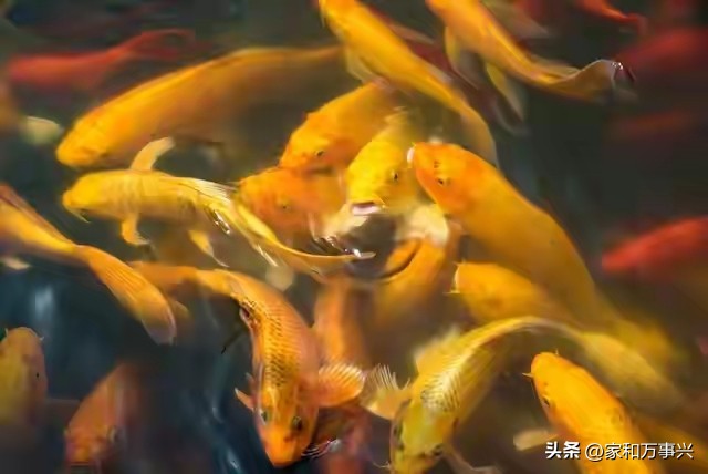 心态好的人有哪些表现_心态平和不怨天尤人_与人为善厚道宽容