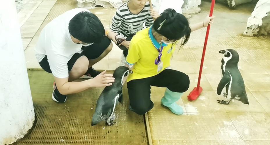 南京信息工程大学海洋科学学院_南京信息工程是本一吗_海洋科学人才培养