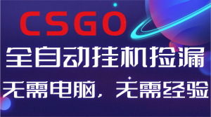 【副业好项目】全球火爆游戏CSGO自动捡漏，新手小白日入500+