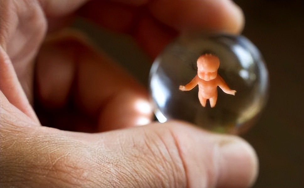 做人工受孕要用多少钱_人工授精适用人群_人工受精与人工授精区别