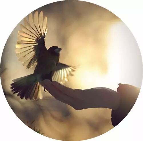 生活中的压力有哪些-佛法教你如何化解生活中的压力