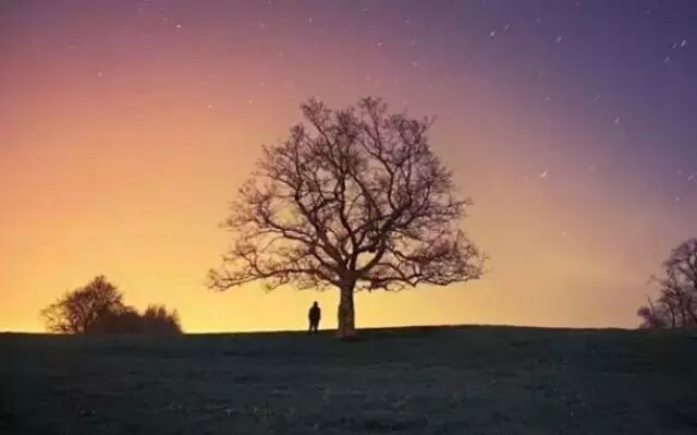 生活中的压力有哪些_释放压力的方法_如何应对生活压力