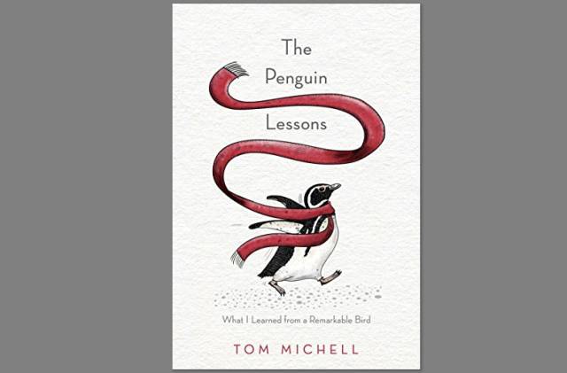 人类衰退之后小说下载_衰退小说人类下载之后怎么看_人类衰退之后小说购买