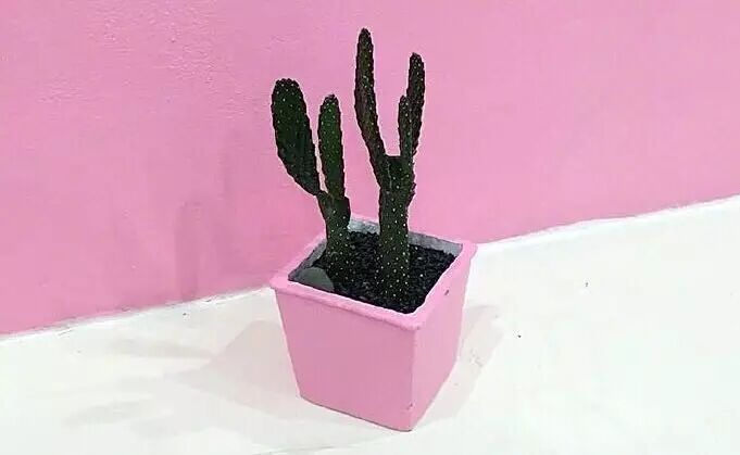 有专业查聊天记录的吗?-教你查看喜欢人的聊天记录