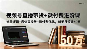 视频号直播带货+微付费进阶课：流量逻辑+微信豆投放+微付费优化，新手月销破50万