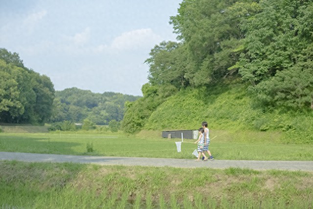 农产品初加工电商销售_农村创业低成本高回报项目_农村小投资创业项目有哪些