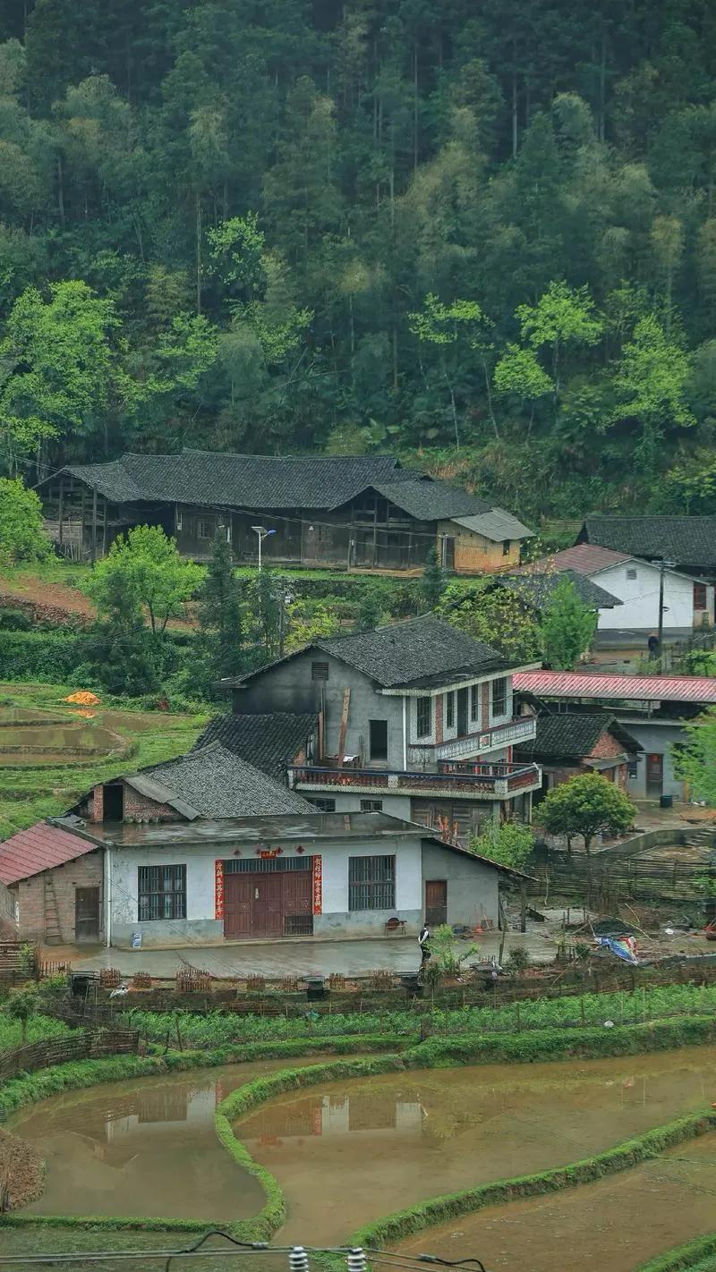 农产品初加工电商销售_农村创业低成本高回报项目_农村小投资创业项目有哪些