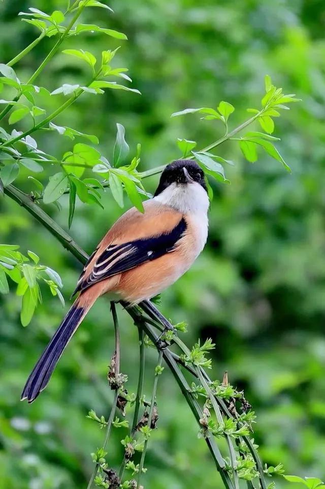 农村创业低成本高回报项目_农村小投资创业项目有哪些_农产品初加工电商销售