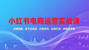 小红书电商运营实战课，店铺搭建、多平台选品、内容创作、私域引流、多账号运营等玩法
